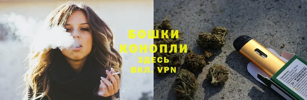 амф Карпинск