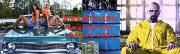 амф Карпинск
