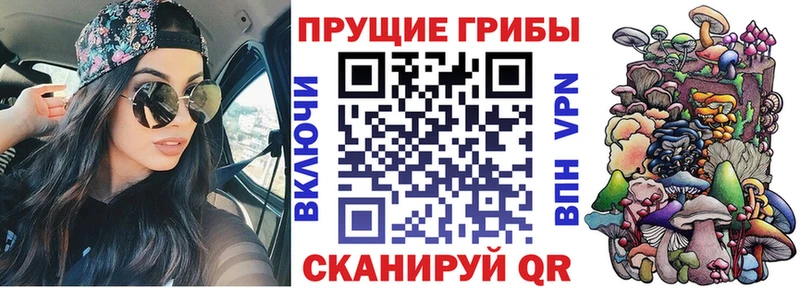 Купить закладки  Ядрин  Псилоцибиновые грибы MAGIC MUSHROOMS 